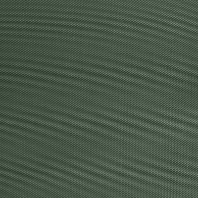 Оксфорд (Oxford) 240D 19-5917, PU/WR, 115 гр/м2, шир.150см, цвет т.зелёный - купить в Энгельсе. Цена 152.54 руб.