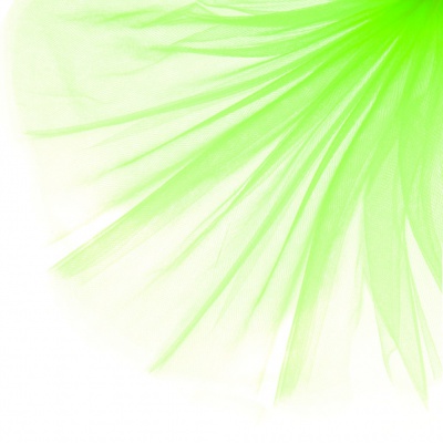 Фатин матовый 16-142, 12 гр/м2, шир.300см, цвет неон.зелёный - купить в Энгельсе. Цена 100.92 руб.