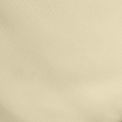 Ткань подкладочная Таффета 14-1014, антист., 53 гр/м2, шир.150см, цвет бежевый - купить в Энгельсе. Цена 62.37 руб.
