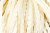 Тесьма декоративная "Шнур-косичка" - купить в Энгельсе. Цена: 2.31 руб.