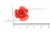 Украшение "Розы малые №1" 20мм - купить в Энгельсе. Цена: 32.49 руб.