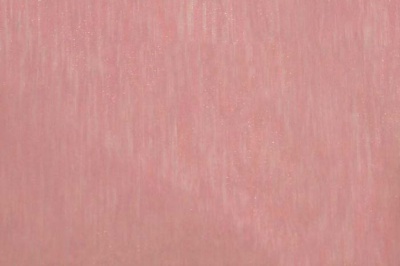 Органза однотонная "Амелия" С19 (Розовый) 280 см - купить в Энгельсе. Цена 303.09 руб.