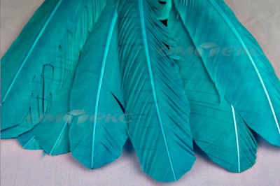 Декоративный Пучок из перьев, перо 24см/голубой - купить в Энгельсе. Цена: 12.19 руб.
