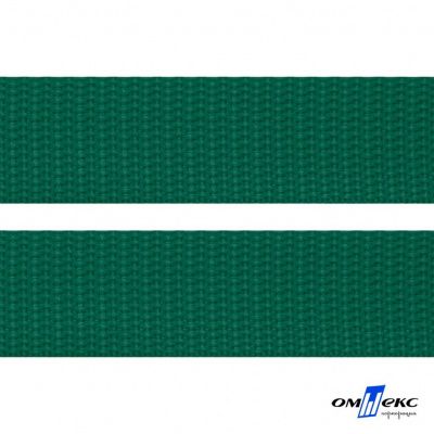 Зелёный- цв.876 -Текстильная лента-стропа 550 гр/м2 ,100% пэ шир.20 мм (боб.50+/-1 м) - купить в Энгельсе. Цена: 318.85 руб.