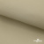 Ткань подкладочная TWILL 230T 14-1108, беж светлый 100% полиэстер,66 г/м2, шир.150 cм - купить в Энгельсе. Цена 90.59 руб.
