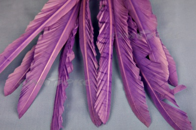 Декоративный Пучок из перьев, перо 25см/фиолетовый - купить в Энгельсе. Цена: 12.19 руб.