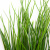 Трава искусственная -4, шт  (осока 50 см/8 см  7 листов)				 - купить в Энгельсе. Цена: 130.73 руб.