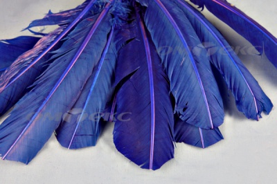 Декоративный Пучок из перьев, перо 23см/синий - купить в Энгельсе. Цена: 12.34 руб.